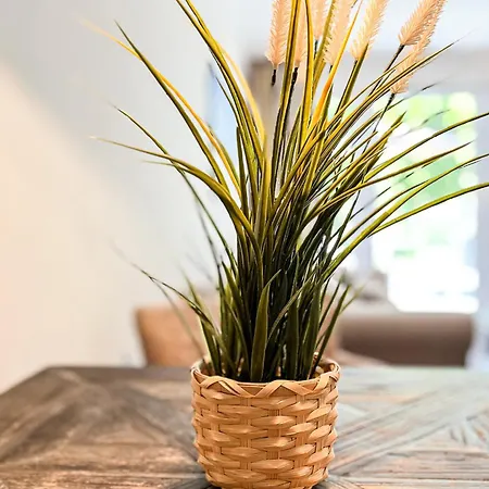 Lejlighed Baltischer Hof 07 Boltenhagen (Ostseebad)