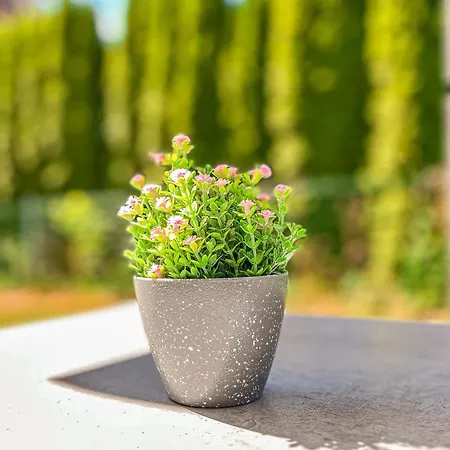 Lejlighed Baltischer Hof 07