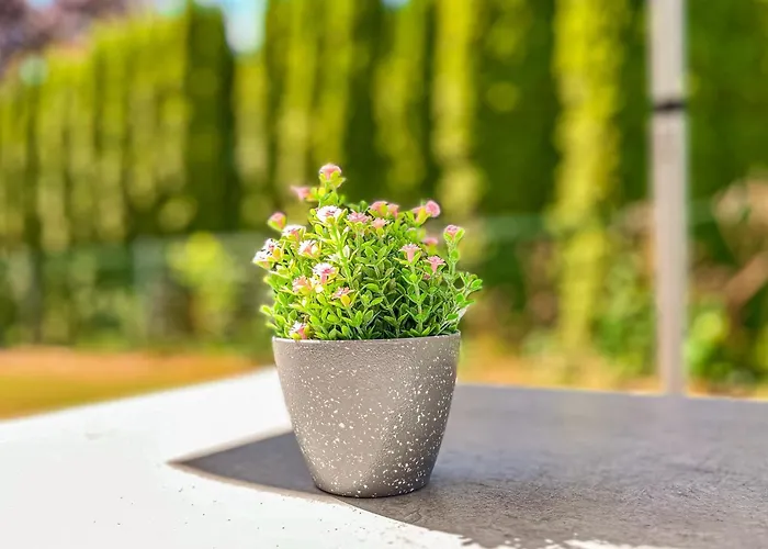 Apartman Baltischer Hof 07